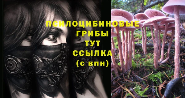 прущая мука Алзамай