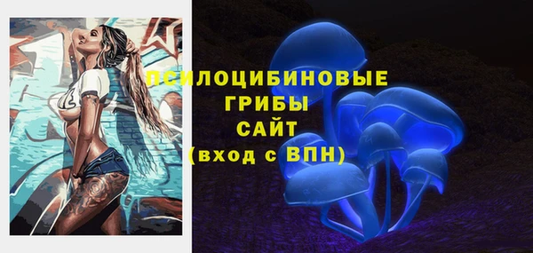 прущая мука Алзамай